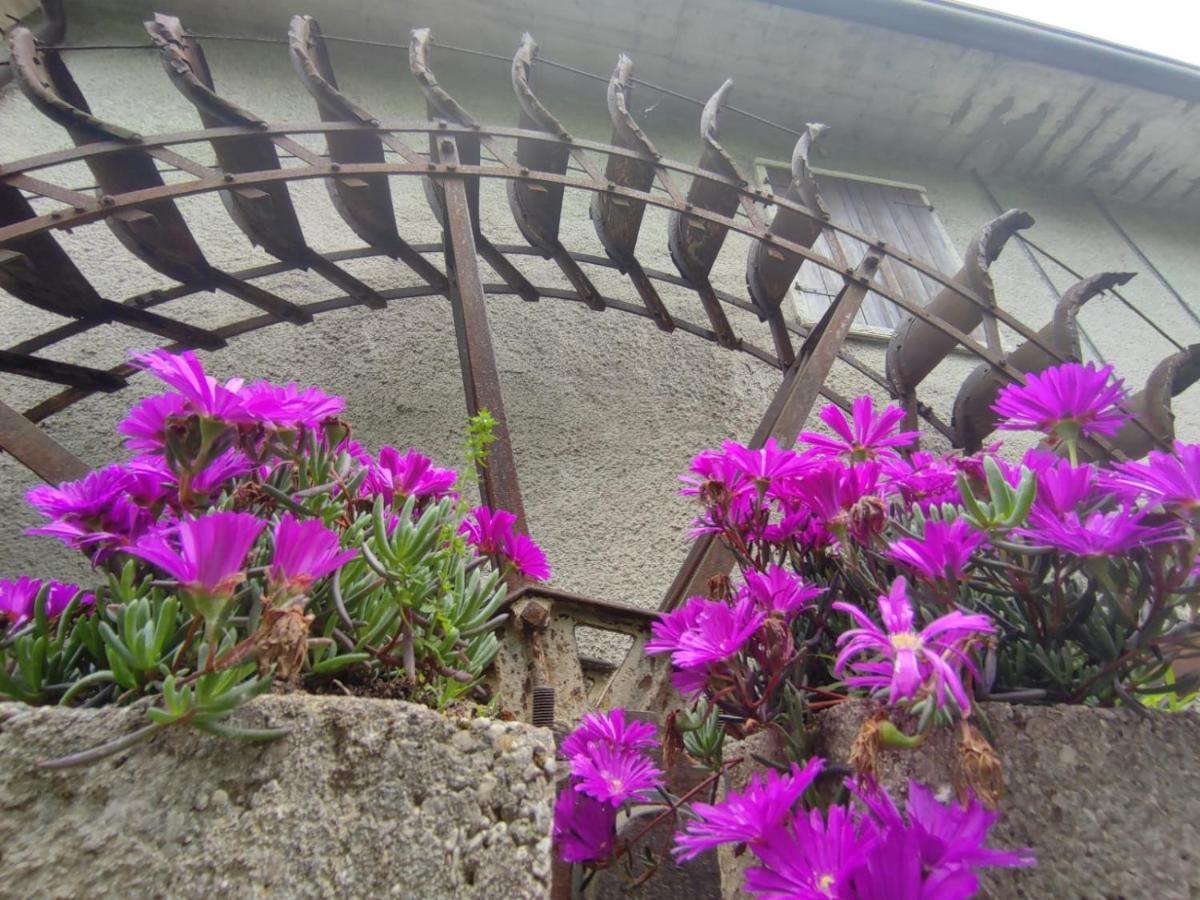 Casa Agnese Verona Appartamento Parcheggio In Struttura San Martino Buon Albergo Buitenkant foto
